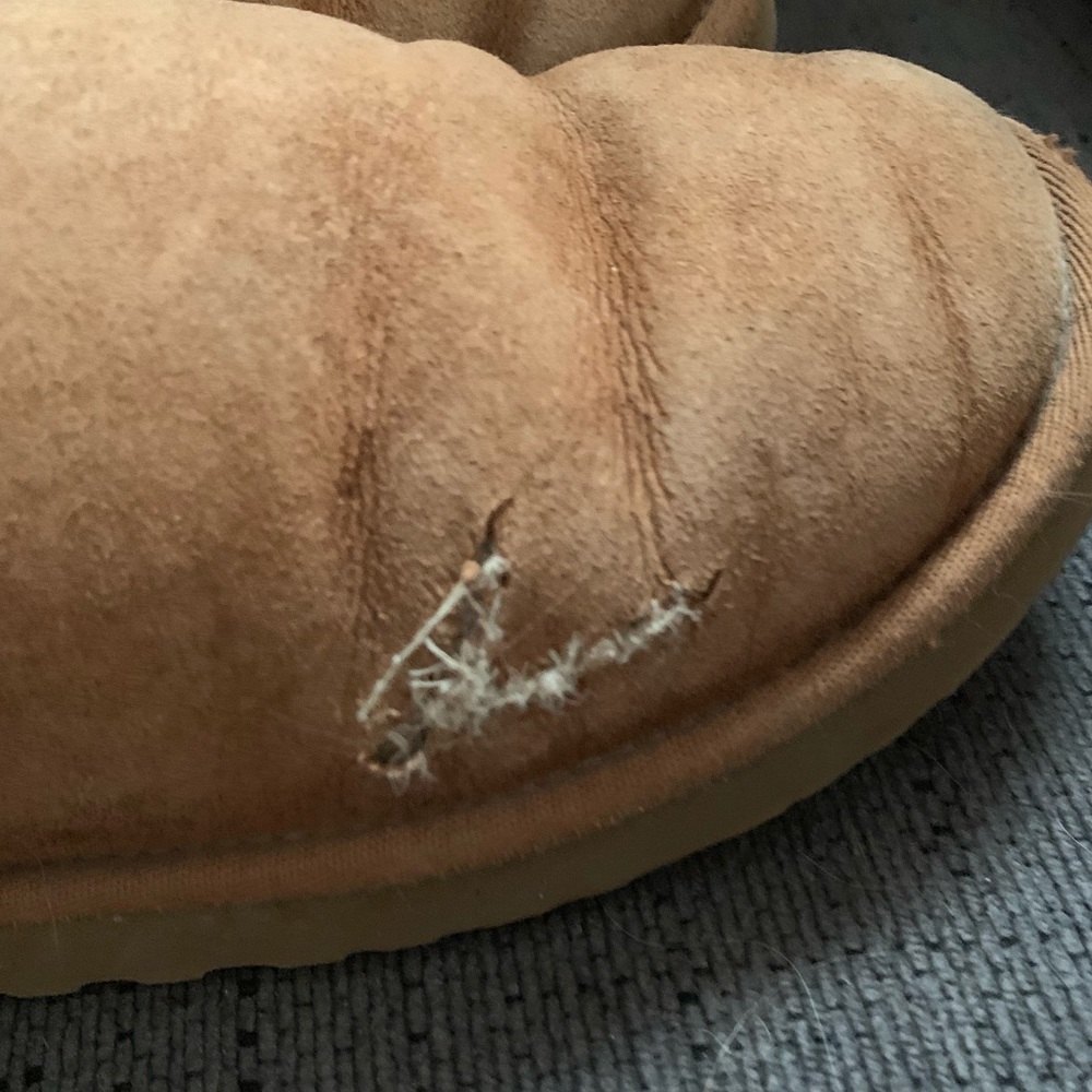 Bailey Button UGGS !! - Picture 4 of 6